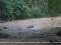 8-incremento-de-lluvias-dejan-graves-afectaciones-en-santander