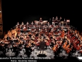 concierto-gira-sin-fronteras-orquestasinfonicanal-colombia-baricharavive-3