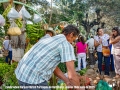 57-celebracion-corpus-christi-parroquia-de-barichara-2025