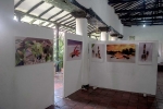 salacasadelaculturasangildic2015-5.jpg salacasadelaculturasangildic2015-5.jpg